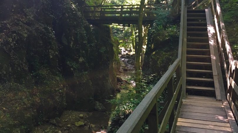 Johannesbachklamm (Würflach)